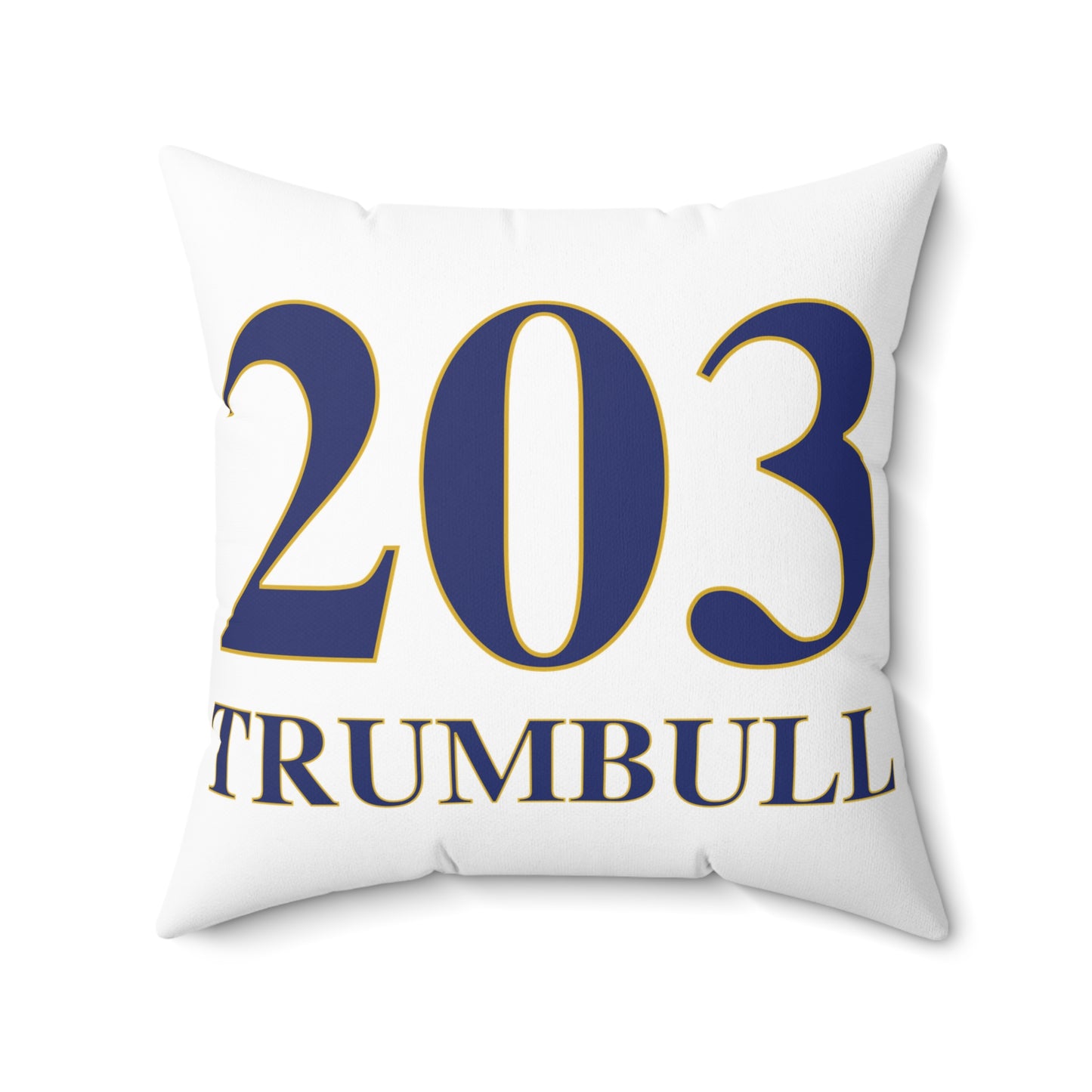 203 Trumbull Spun Polyester Square Pillow