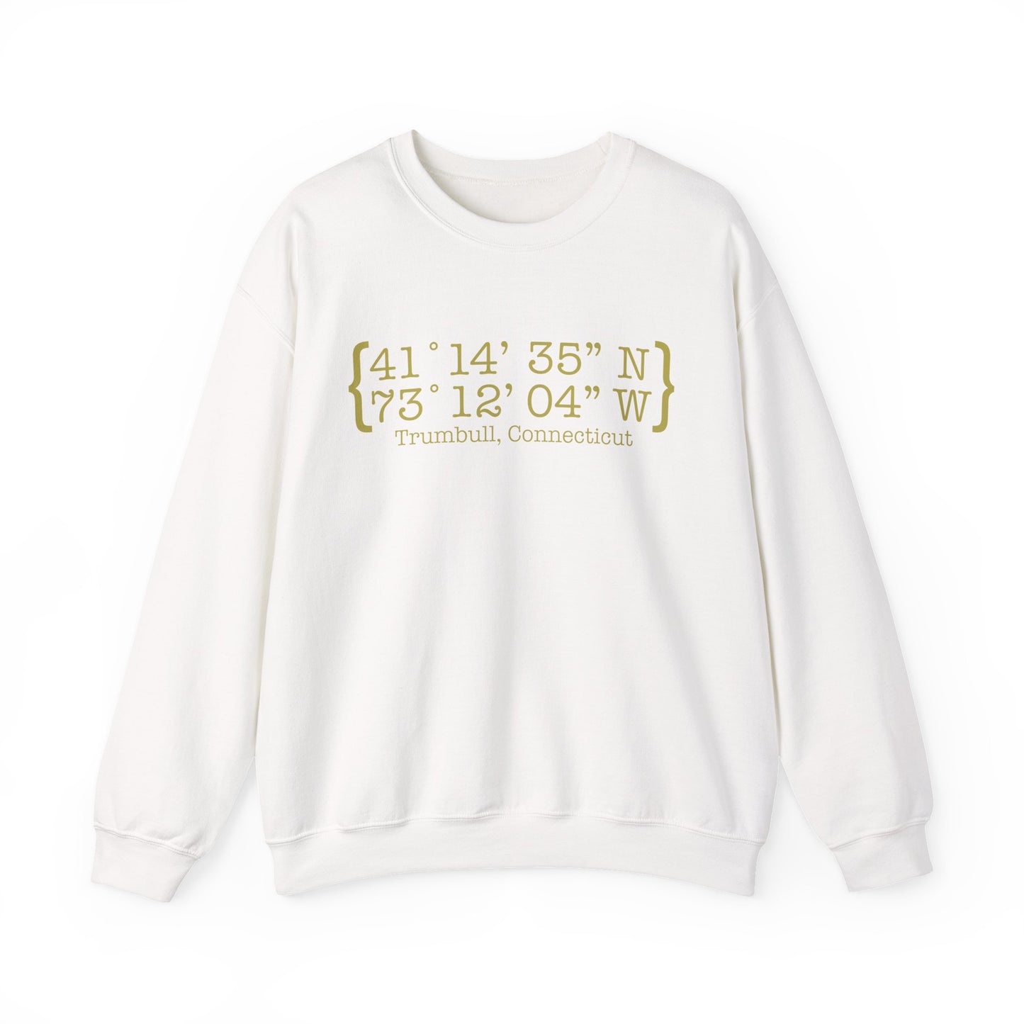 Trumbull Coordinates Unisex Heavy Blend™ Crewneck Sweatshirt
