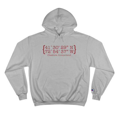 Cheshire Coordinates Champion Hoodie