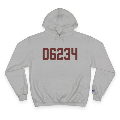 06234 Brooklyn Connecticut Zip Code Champion Hoodie