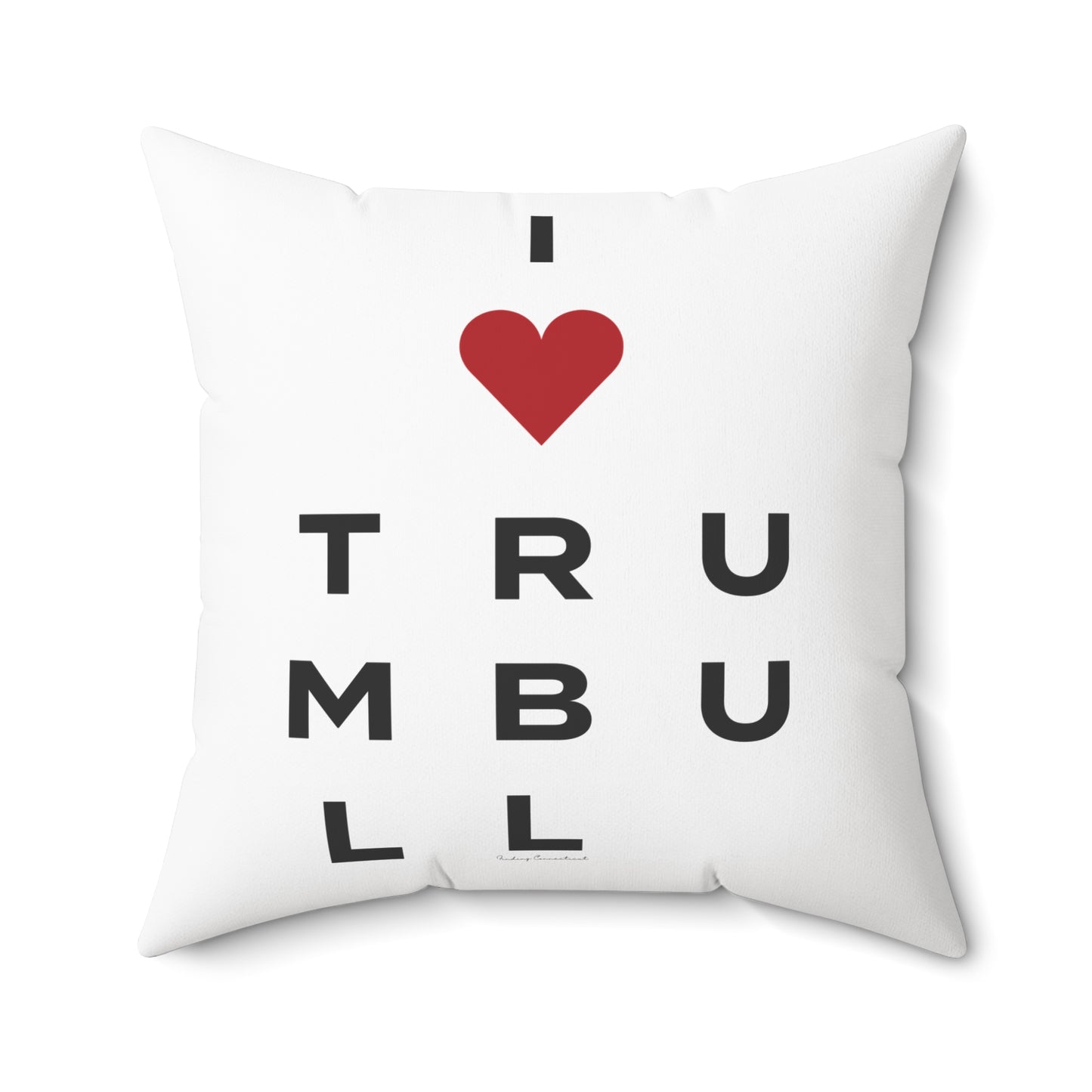 Trumbull Vision Spun Polyester Square Pillow