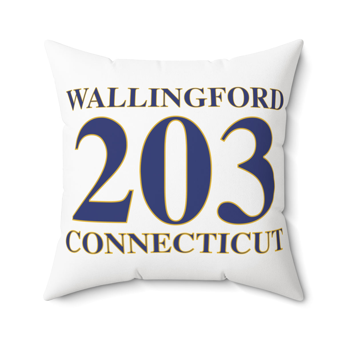 203 Wallingford Polyester Square Pillow