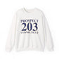 Prospect 203 Connecticut Unisex Heavy Blend™ Crewneck Sweatshirt
