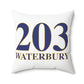 203 Waterbury Polyester Square Pillow