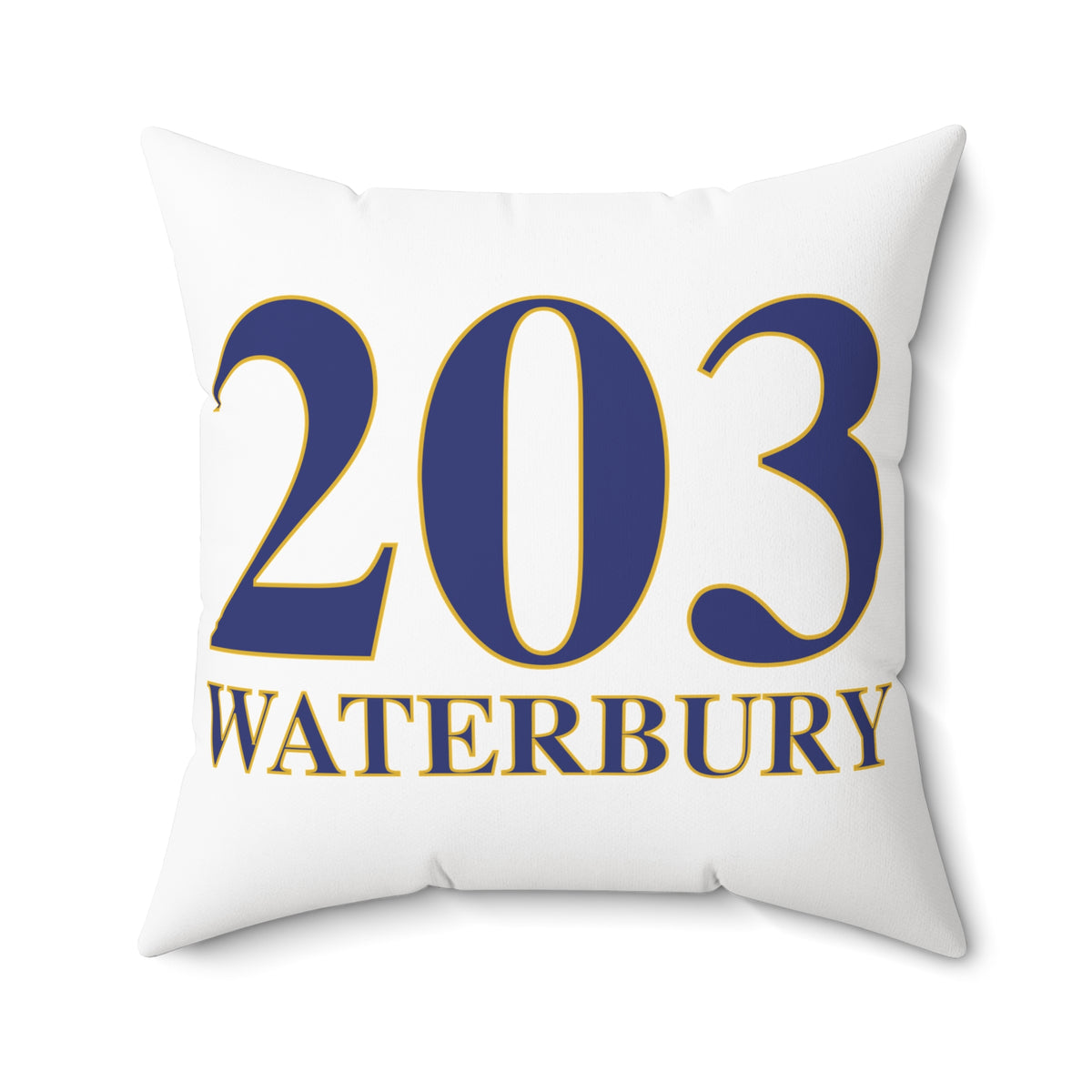 203 Waterbury Polyester Square Pillow