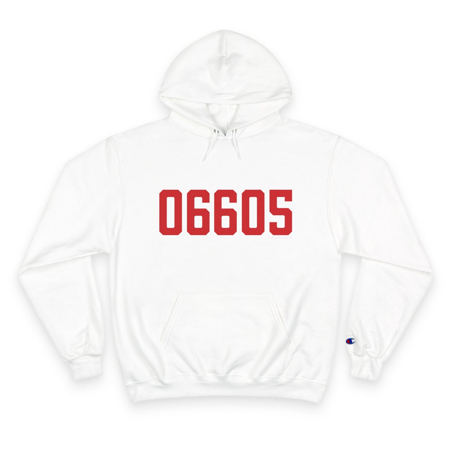 06605 Bridgeport Connecticut Zip Code Champion Hoodie Sweatshirt