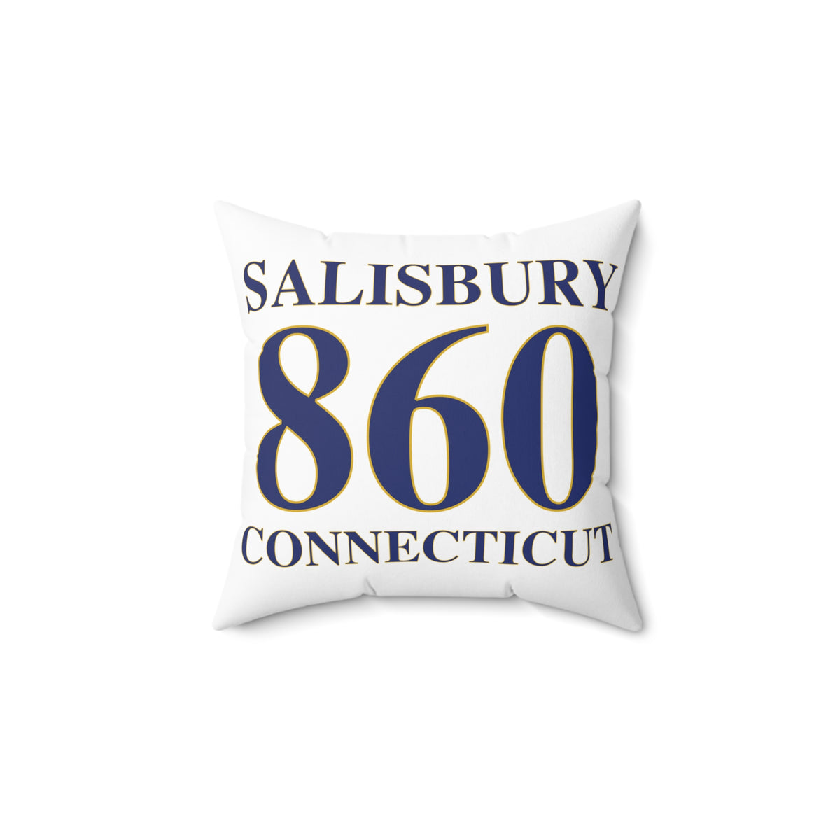 Salisbury 860 Connecticut Polyester Square Pillow