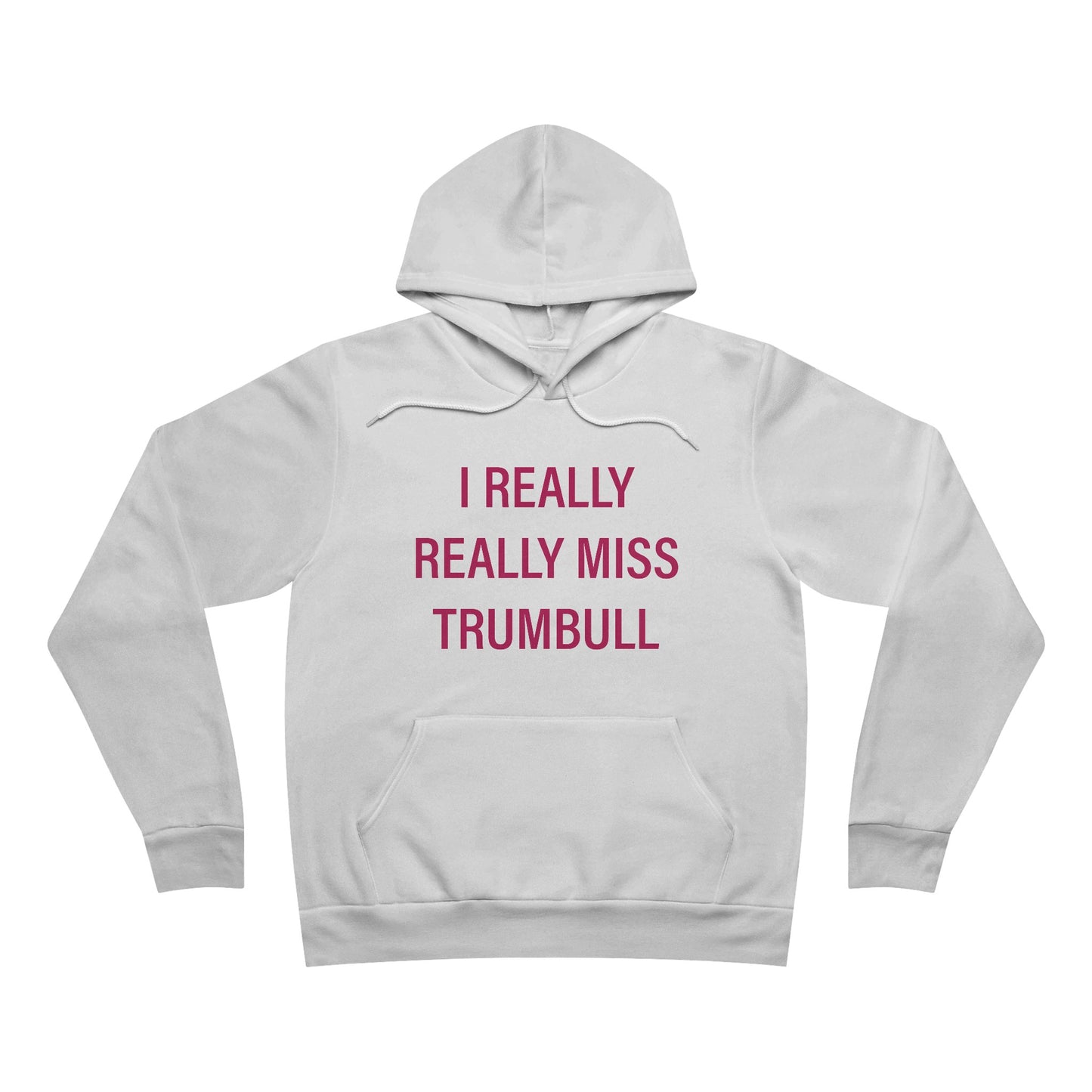 I Really Really Miss Trumbull Unisex Sponge Fleece Pullover Hoodie