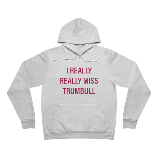 I Really Really Miss Trumbull Unisex Sponge Fleece Pullover Hoodie