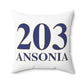 203 Ansonia Polyester Square Pillow