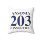 Ansonia 203 Connecticut Polyester Square Pillow