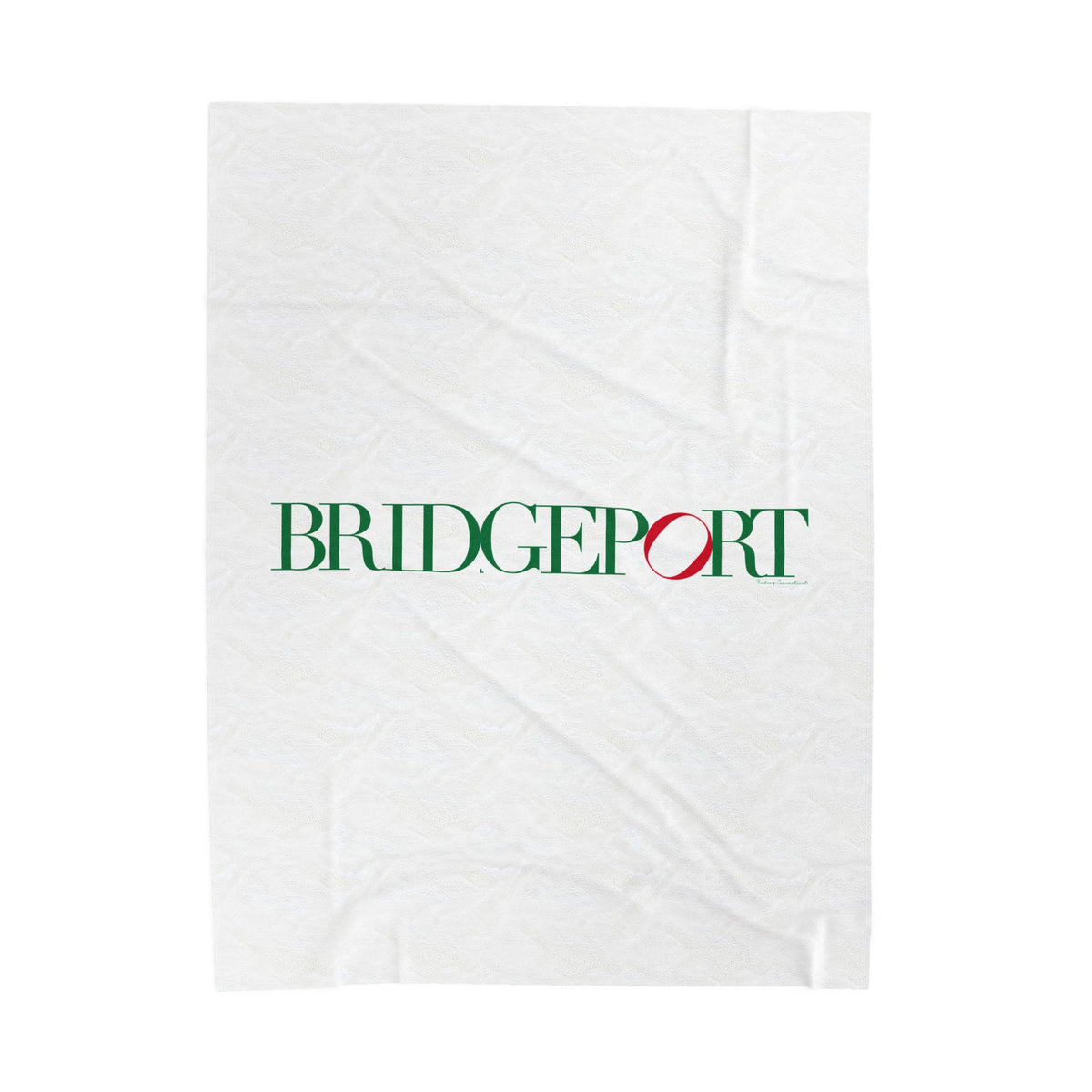 41 Tilt Bridgeport Velveteen Plush Blanket