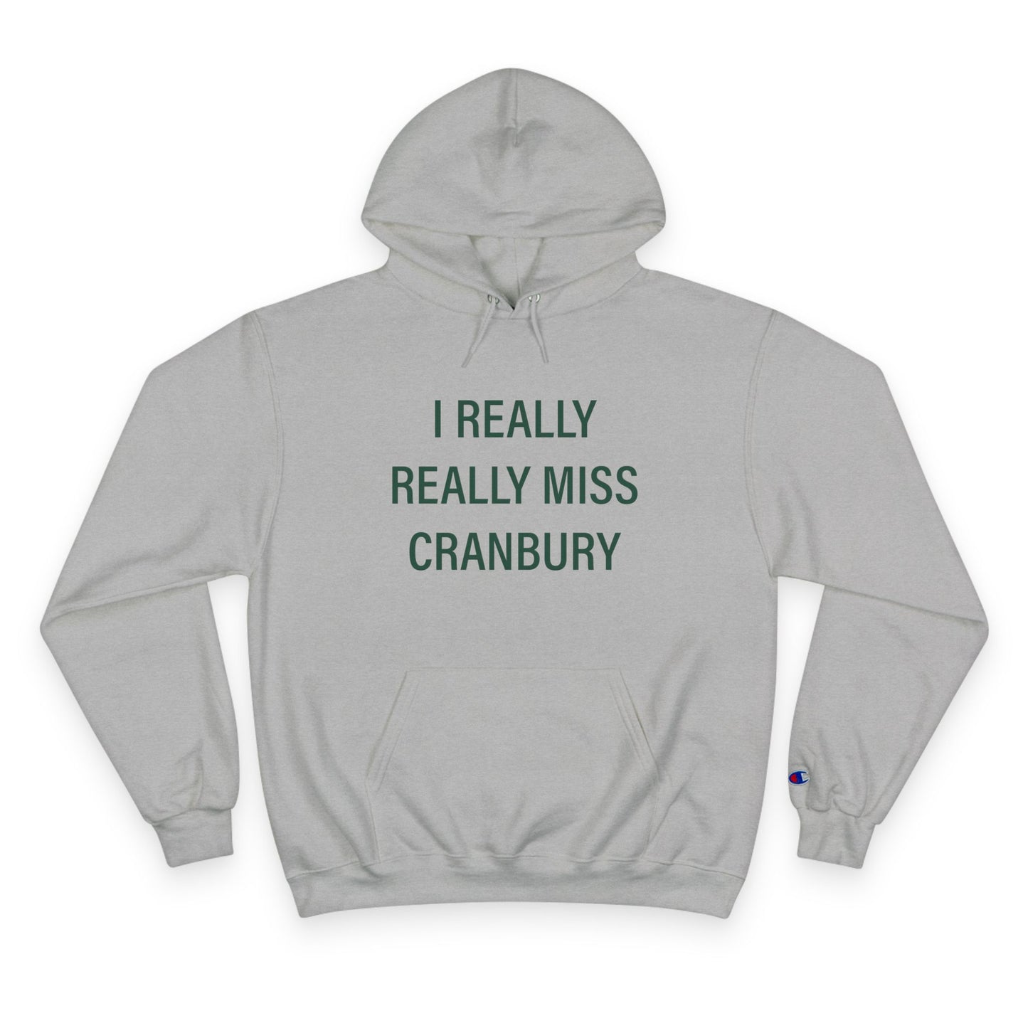 I Really Really Miss Cranbury Champion Hoodie