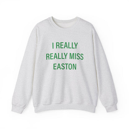 I Really Really Miss Easton Unisex Heavy Blend™ Crewneck Sweatshirt