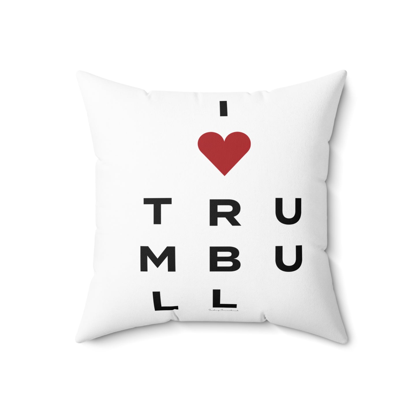 Trumbull Vision Spun Polyester Square Pillow
