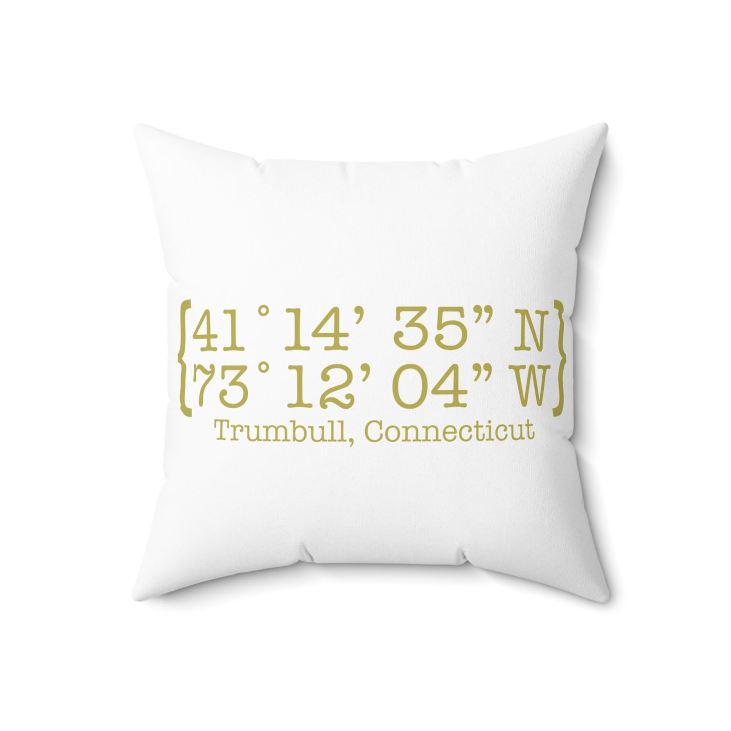 Trumbull Coordinates Spun Polyester Square Pillow