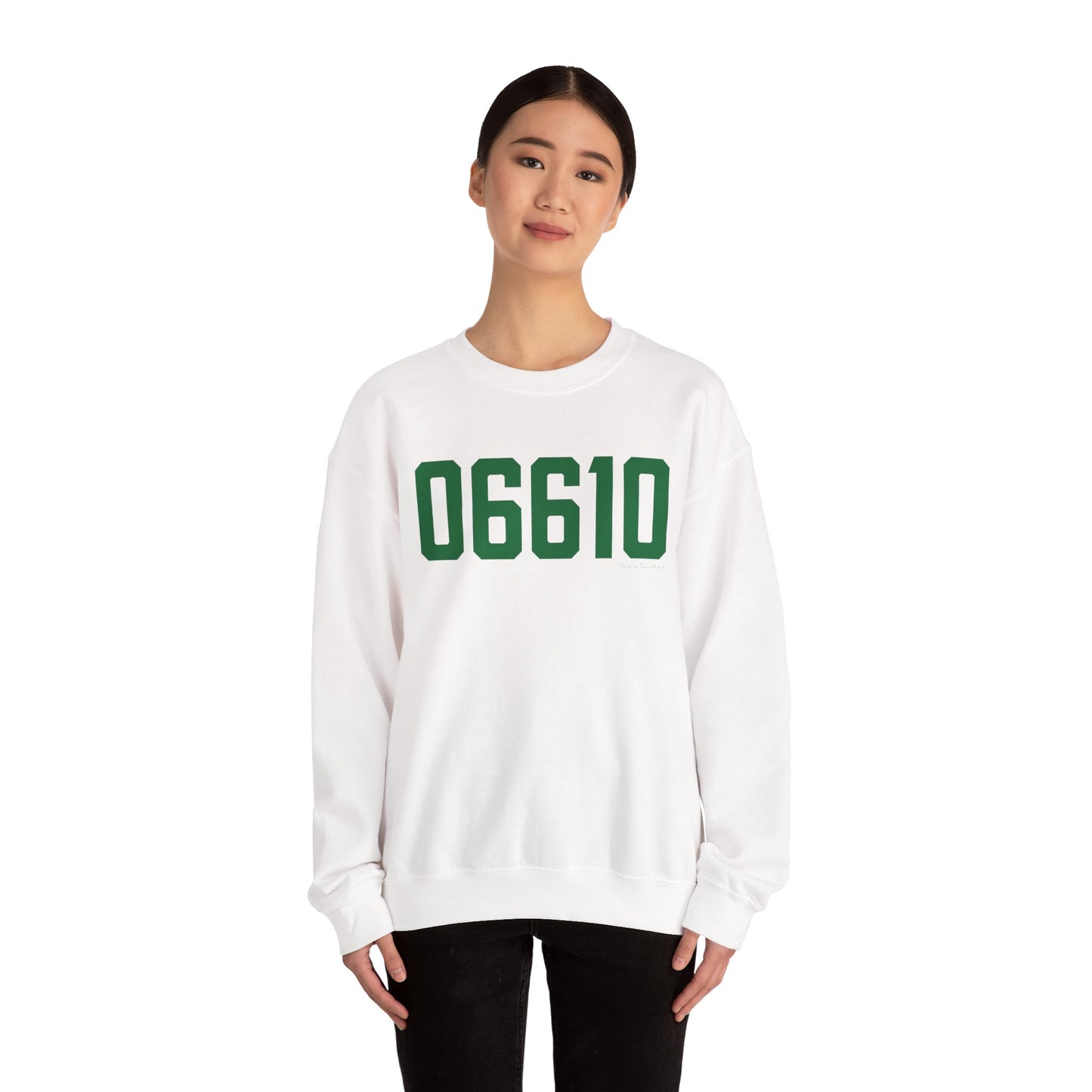 06610  Bridgeport Connecticut Zip Code Unisex Heavy Blend™ Crewneck Sweatshirt