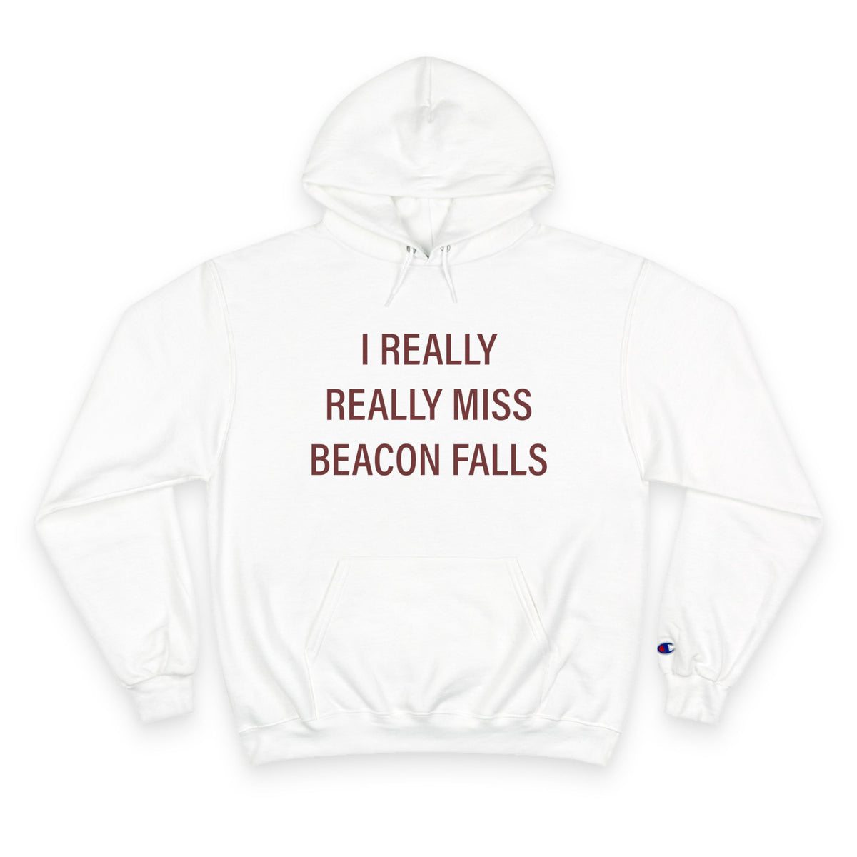 I Really Really Miss Beacon Falls Champion Hoodie