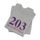 203 Beacon Falls Red White & Blue Unisex Jersey Short Sleeve T-Shirt