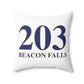 203 Beacon Falls Polyester Square Pillow