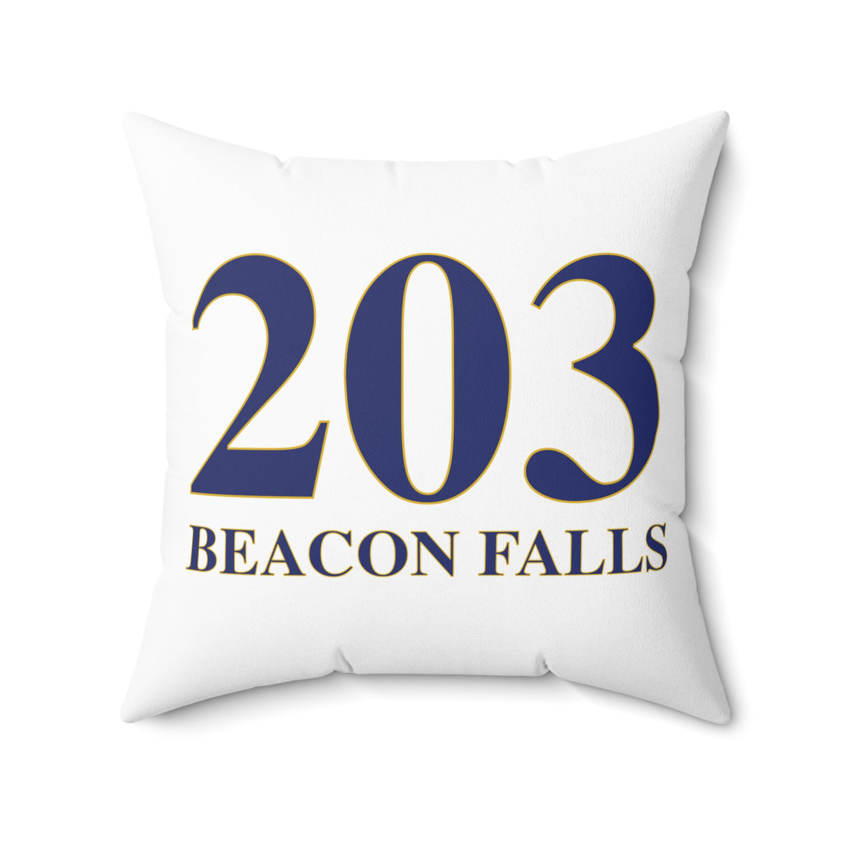 203 Beacon Falls Polyester Square Pillow