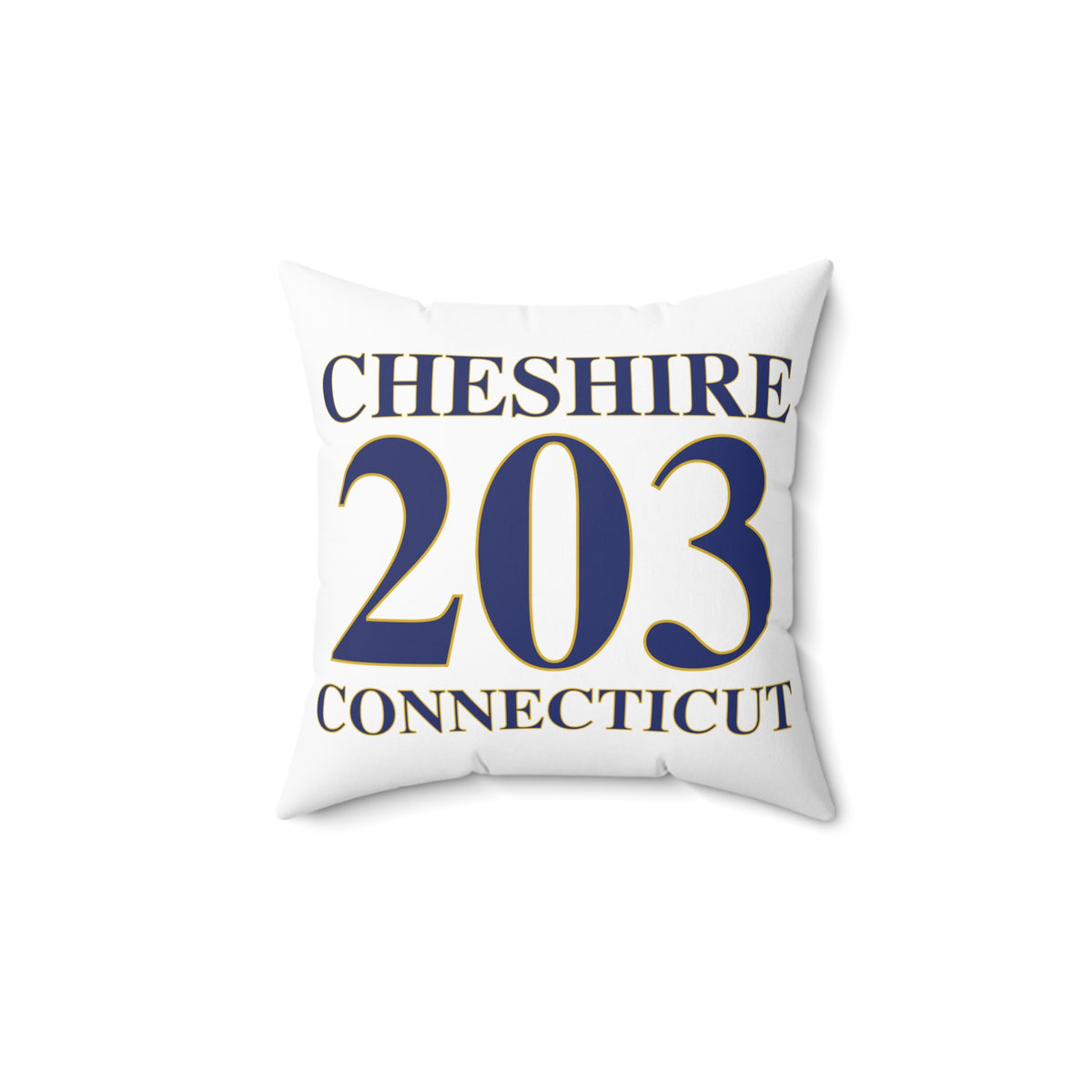 Cheshire 203 Connecticut Polyester Square Pillow