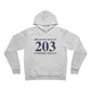 Beacon Falls 203 Connecticut Unisex Sponge Fleece Pullover Hoodie