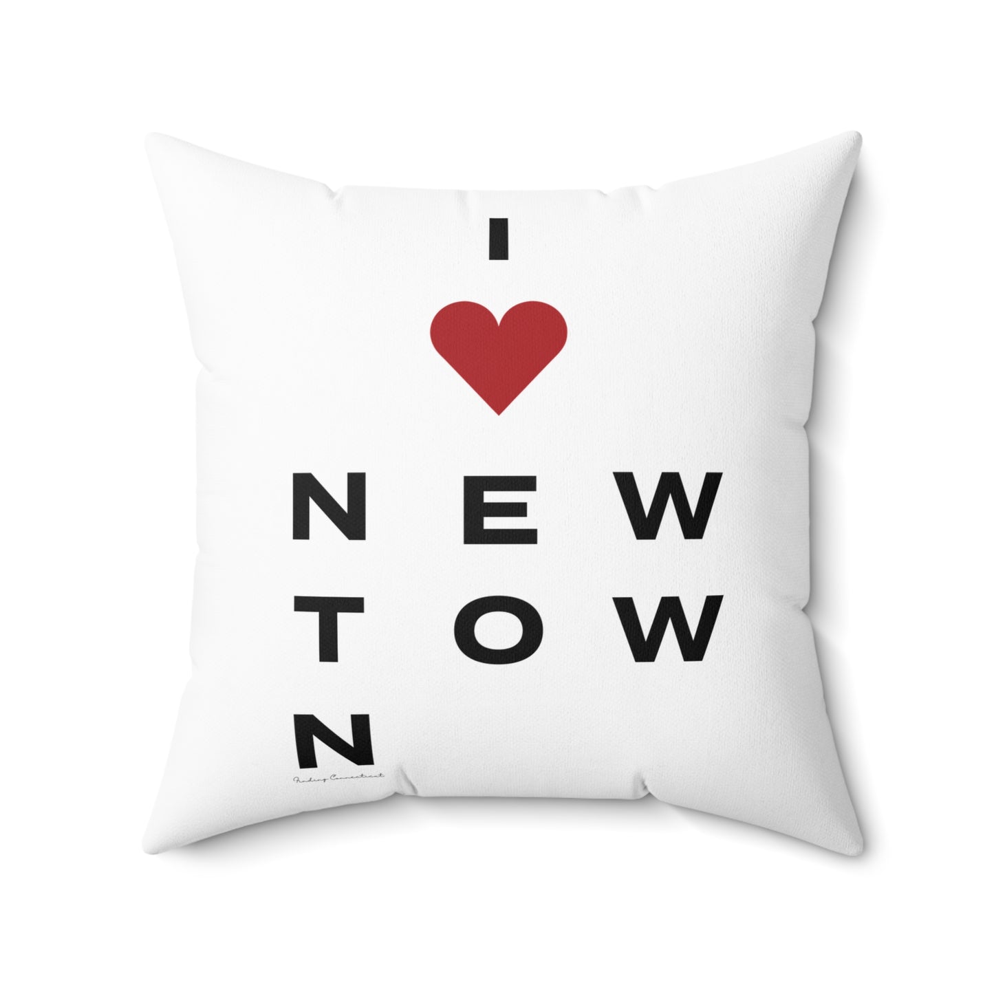 Newtown Vision Spun Polyester Square Pillow