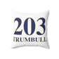 203 Trumbull Spun Polyester Square Pillow