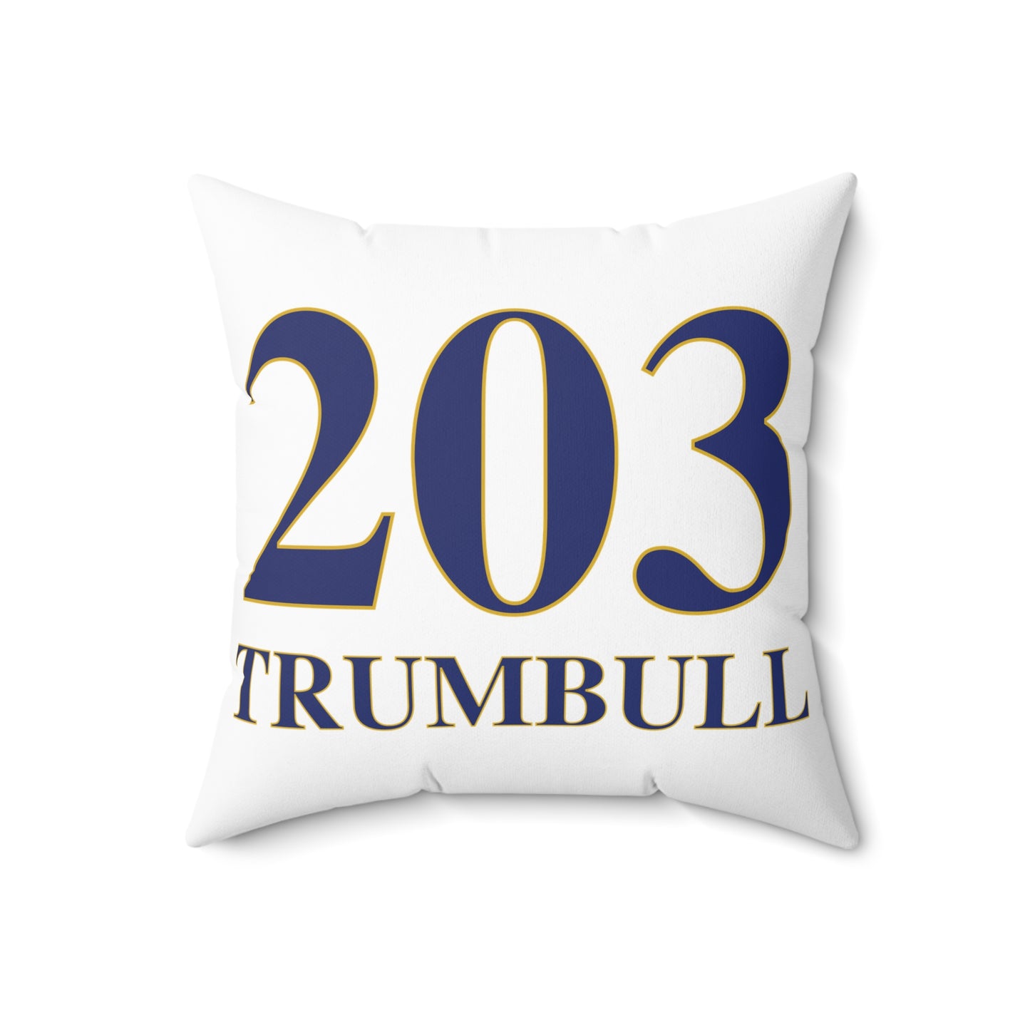 203 Trumbull Spun Polyester Square Pillow