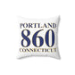 Portland 860 Connecticut Spun Polyester Square Pillow