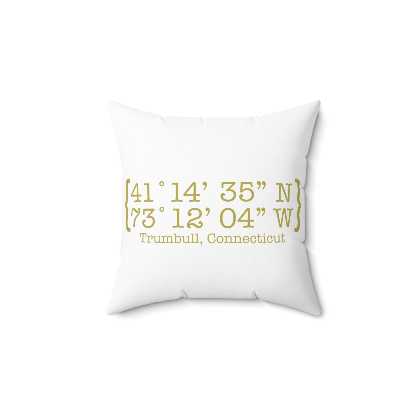 Trumbull Coordinates Spun Polyester Square Pillow