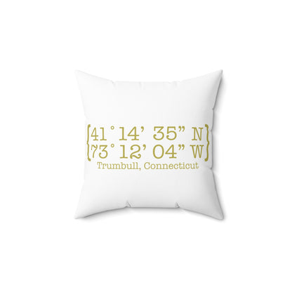 Trumbull Coordinates Spun Polyester Square Pillow