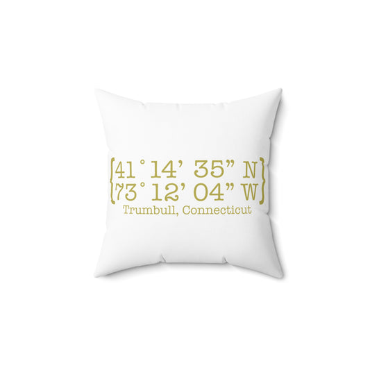 Trumbull Coordinates Spun Polyester Square Pillow
