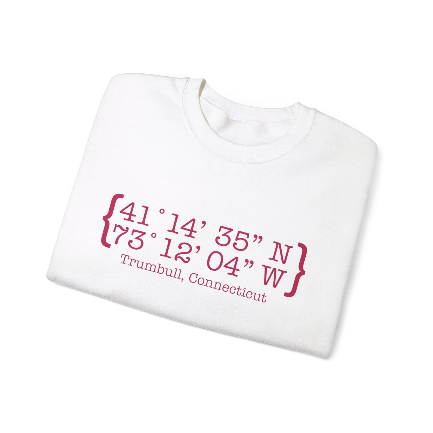 Trumbull Coordinates Unisex Heavy Blend™ Crewneck Sweatshirt