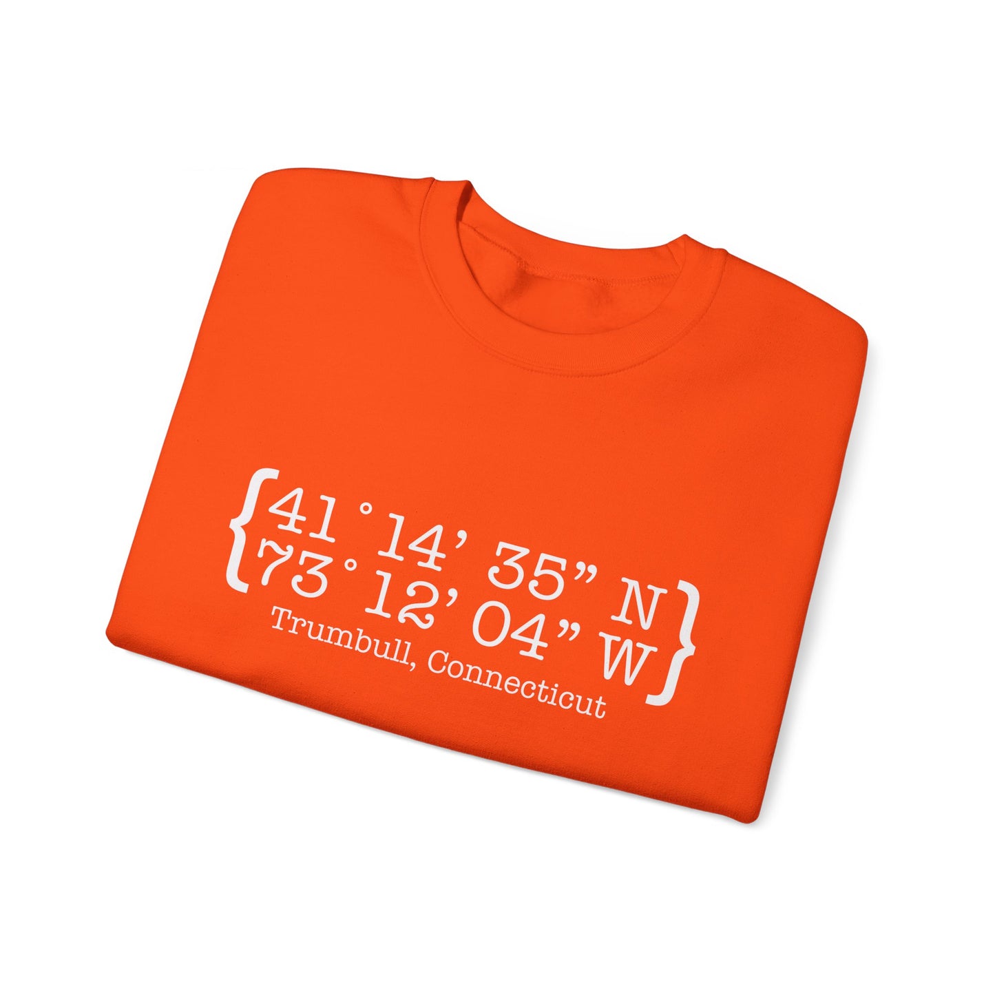 Trumbull Coordinates Unisex Heavy Blend™ Crewneck Sweatshirt