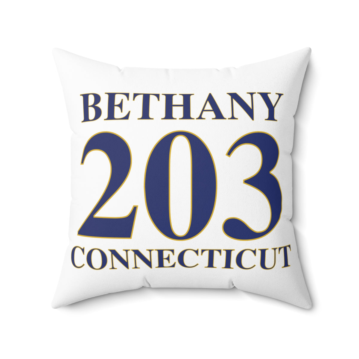 Bethany 203 Connecticut Polyester Square Pillow