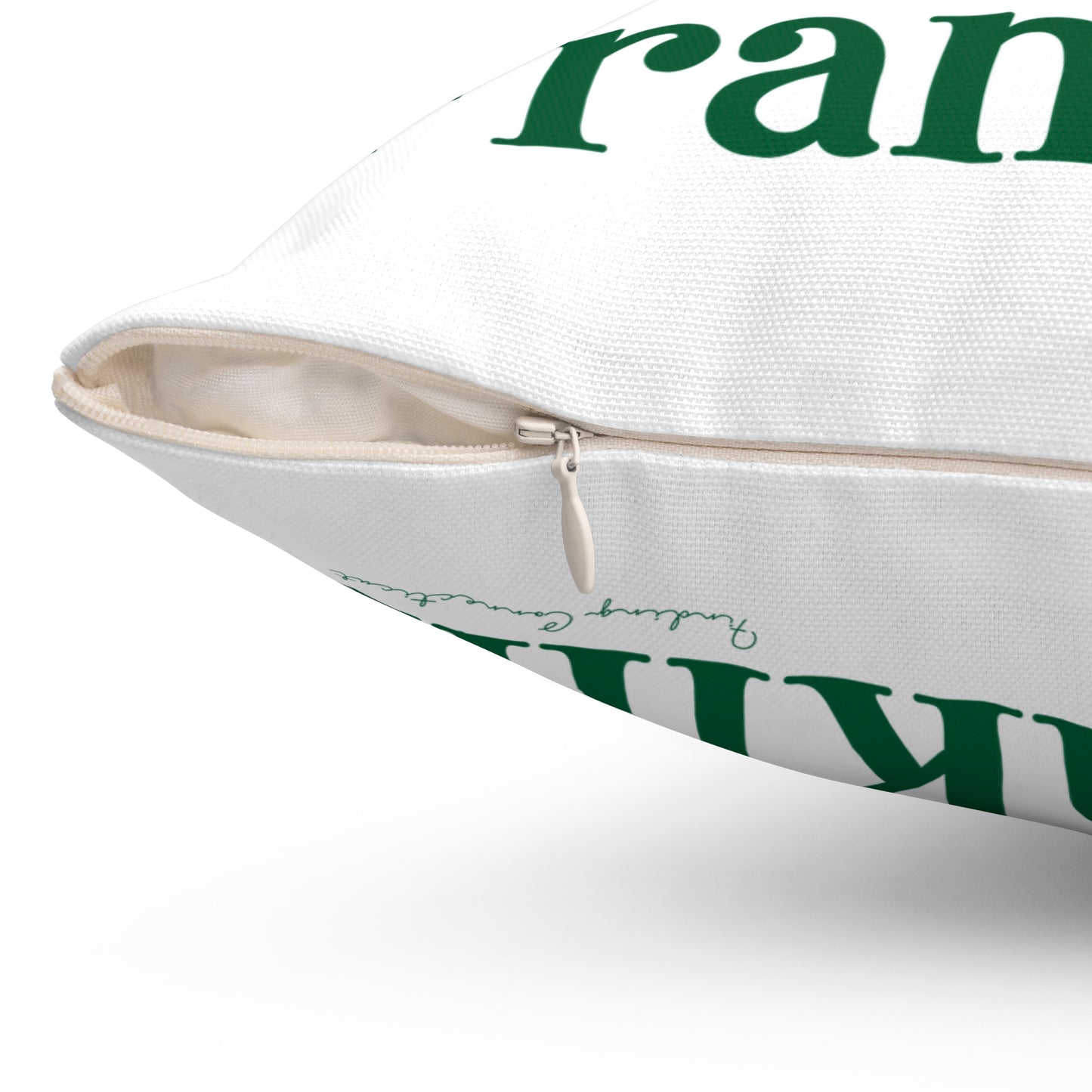 I Clover Franklin Spun Polyester Square Pillow