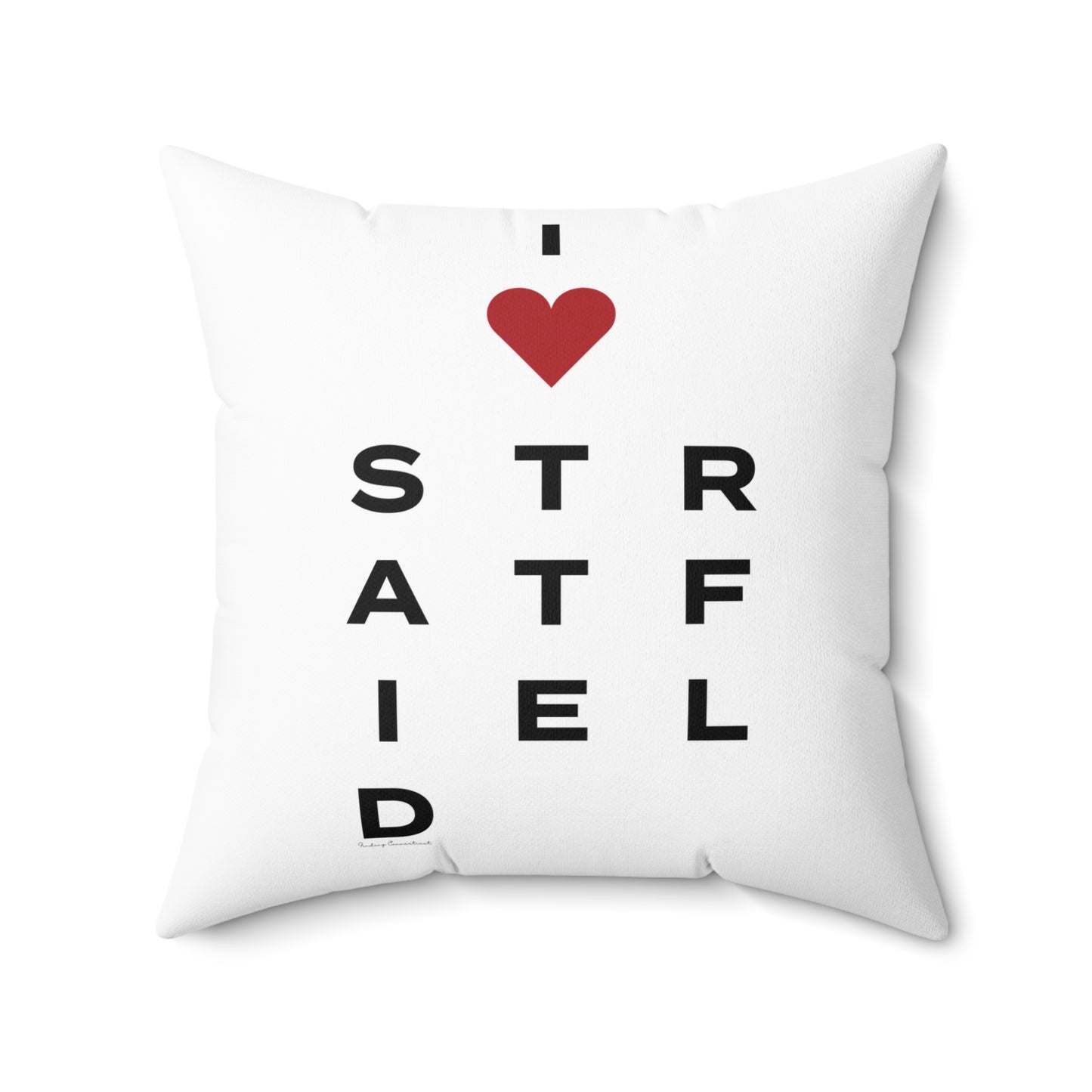 Stratfield Vision Spun Polyester Square Pillow