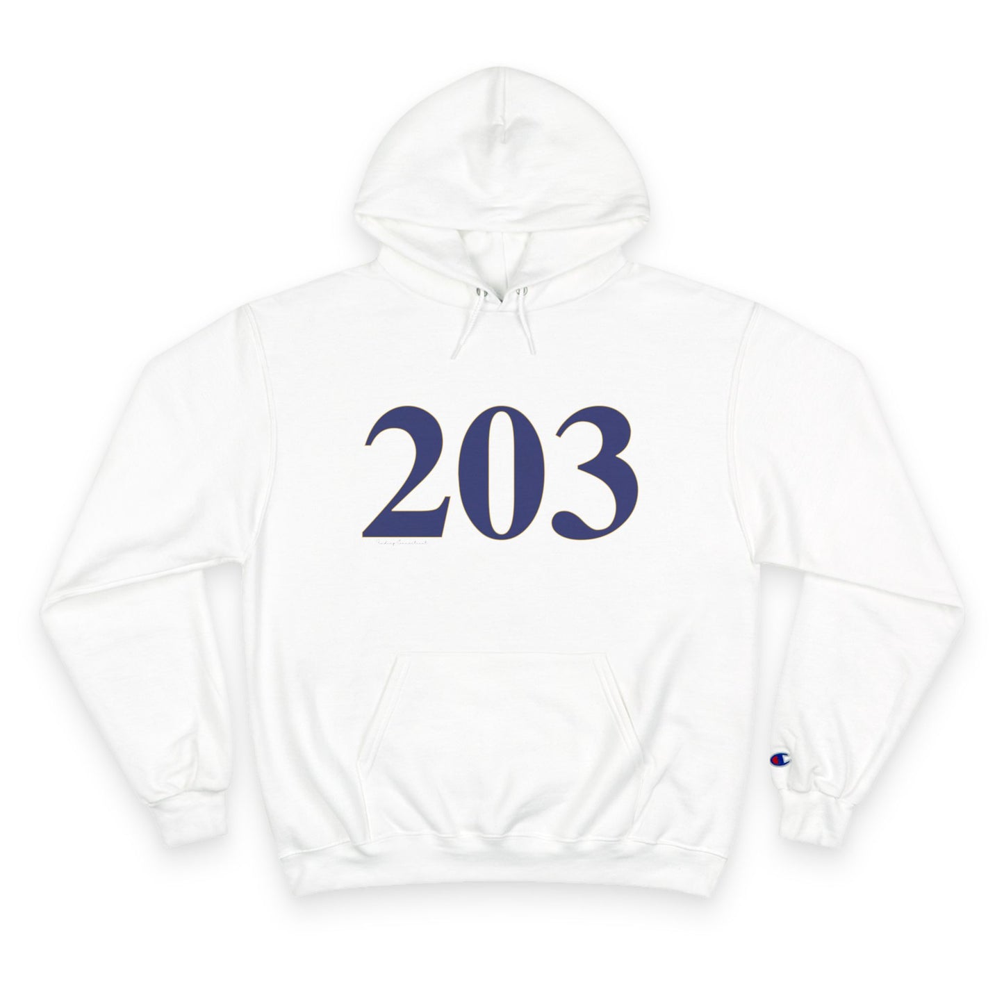 203 Champion Hoodie