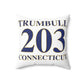 Trumbull 203 Connecticut Spun Polyester Square Pillow