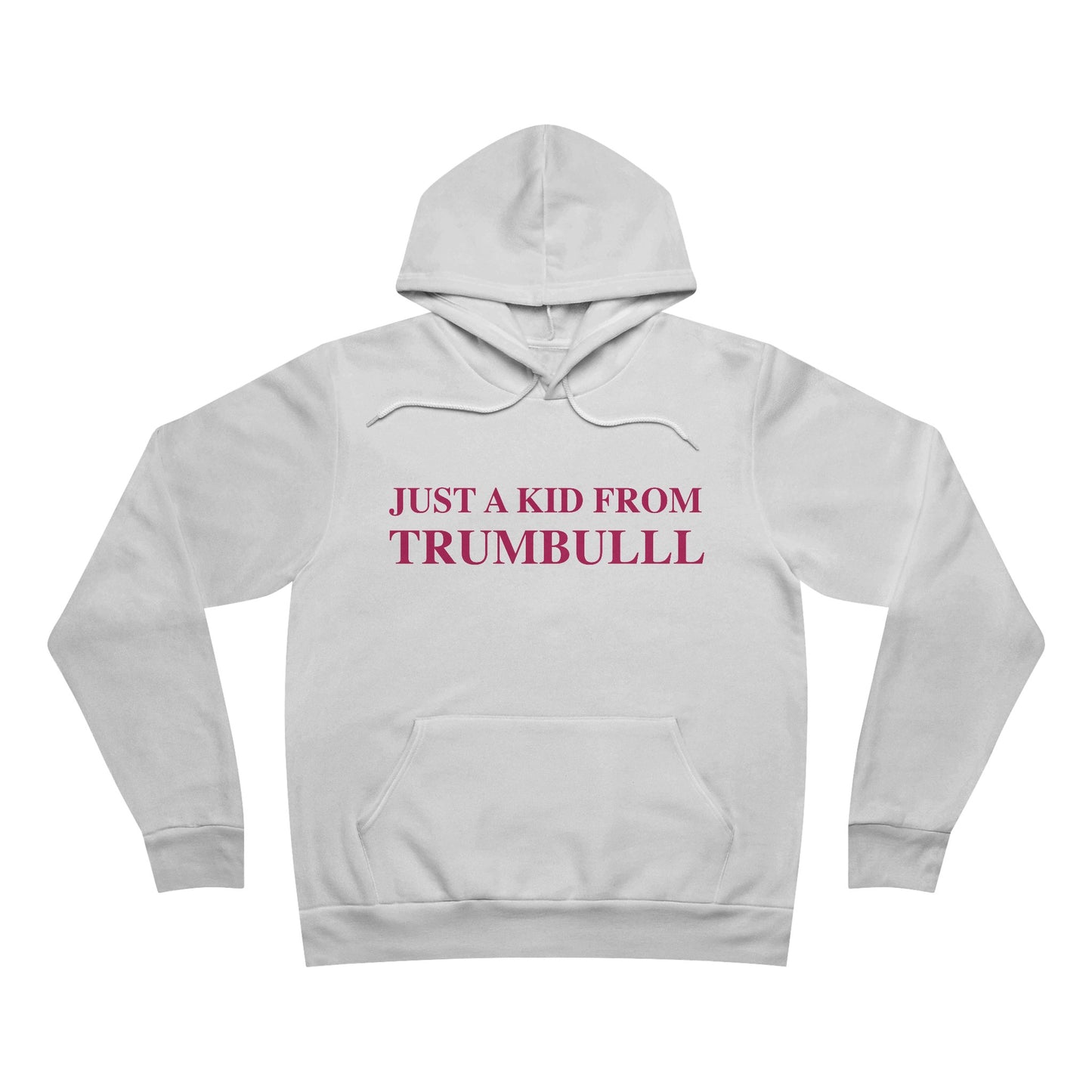 Just a kid from Trumbull Unisex Sponge Fleece Pullover Hoodie