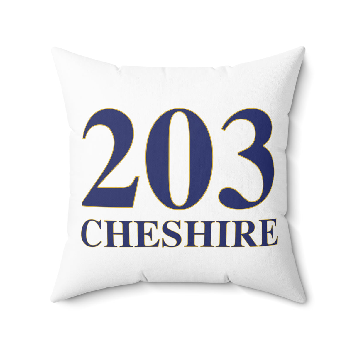 203 Cheshire Polyester Square Pillow
