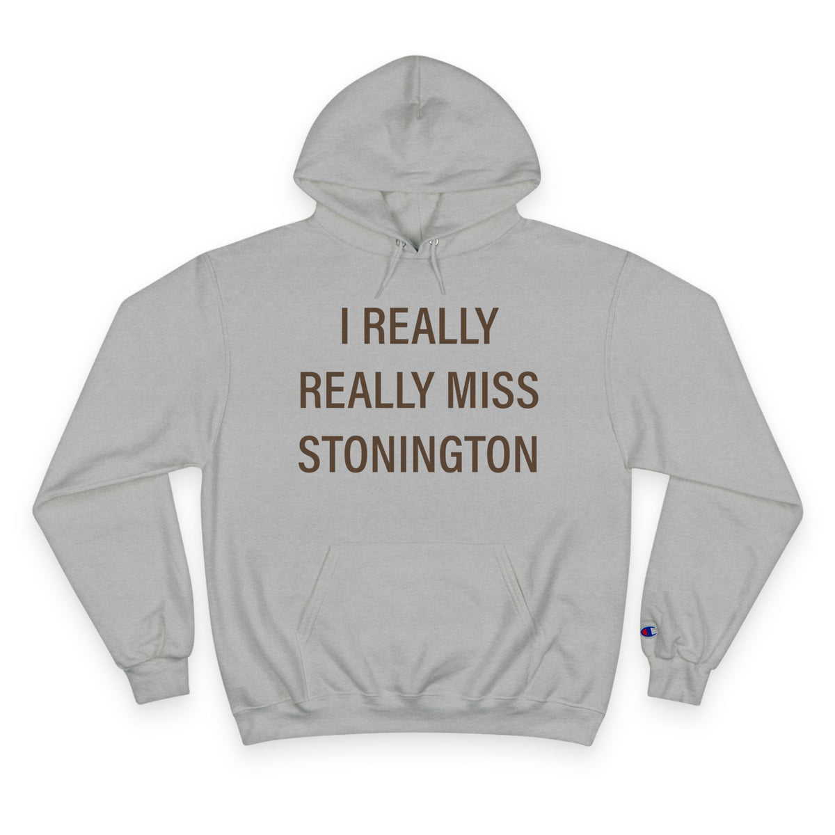 I Really Really Miss Stonington Champion Hoodie