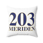 203 Meriden Polyester Square Pillow