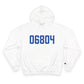 06804 Brookfield Connecticut Zip Code Champion Hoodie