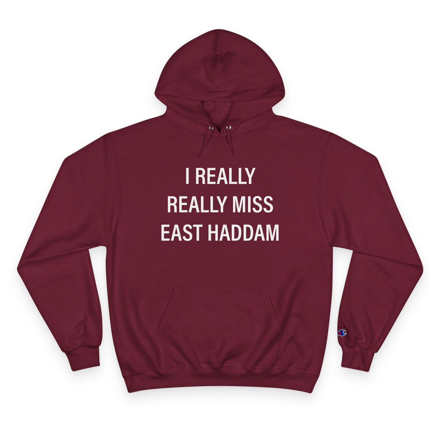 I Really Really Miss East Haddam Champion Hoodie