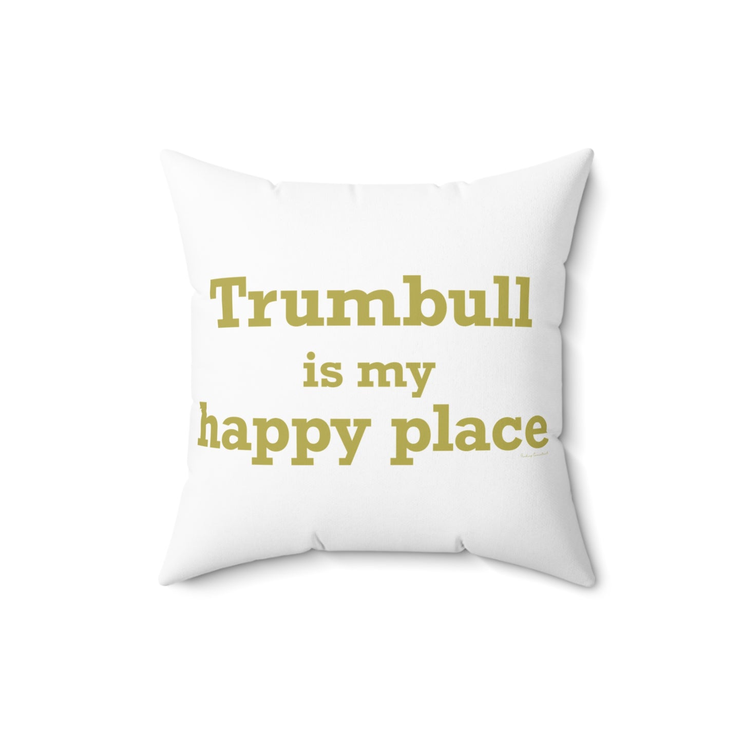 Trumbull Is My Happy Place Spun Polyester Square Pillow