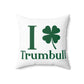 I Clover Trumbull Spun Polyester Square Pillow