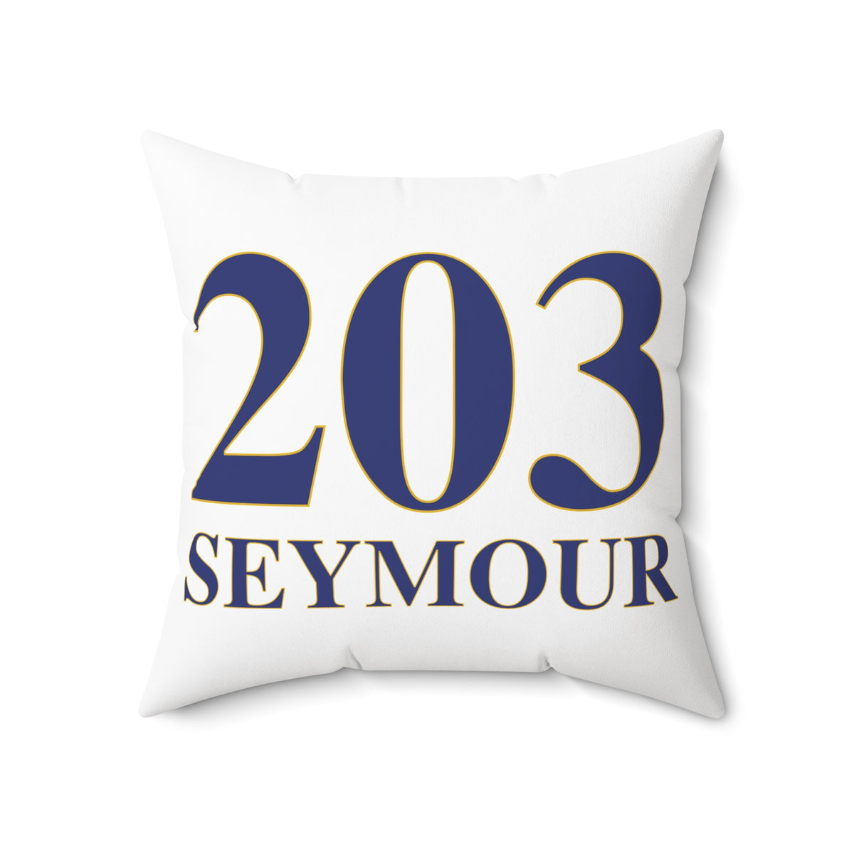 203 Seymour Polyester Square Pillow
